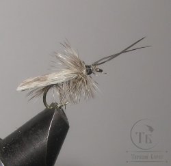 Муха сухая Dry fly ( 116 ) " Quill Wing Caddis (nat. grey barret) "крючок № 14 ( Kumho )