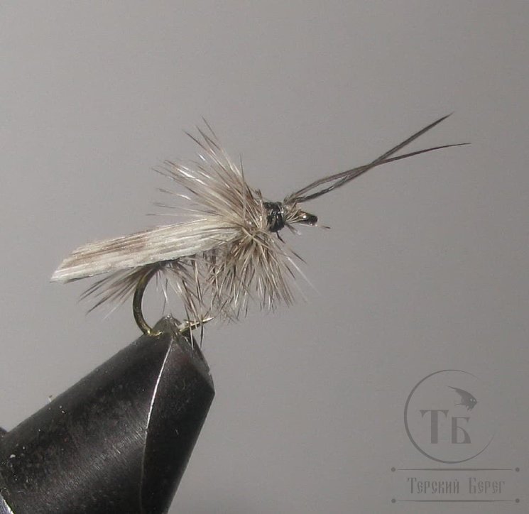 Муха сухая Dry fly ( 116 ) " Quill Wing Caddis (nat. grey barret) "крючок № 14 ( Kumho )