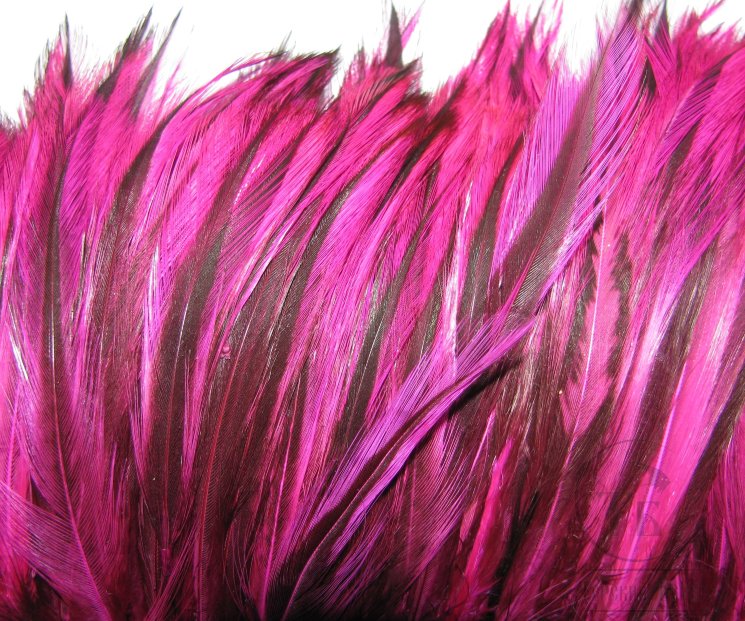 Перо скальпа петуха Баджер огненно розовый / Attractor Neck Hackle Badger Hot Pink