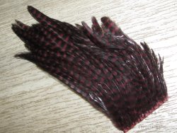 Куриные перья скальпа на коже  (средняя часть)  Hen Cape Grizzly Claret