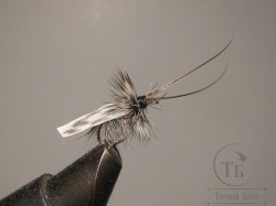 Муха сухая Dry fly ( 4 ) " Quill Wing Caddis Barred "крючок № 12 ( Kumho )