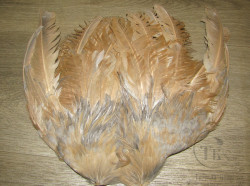 Крылья петуха Cock Wings Lt. Tan / Lt. Dun Variant ( 1 пара )