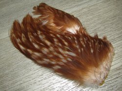 Куриные перья скальпа на коже рябые  (средняя часть)  Hen Cape American Brown White Var.