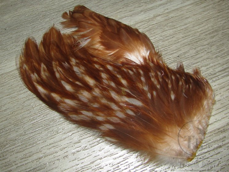 Куриные перья скальпа на коже рябые  (средняя часть)  Hen Cape American Brown White Var.